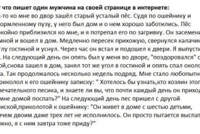 История про собаку