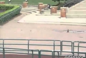 Утки покоряют мир_Нарезка_Funny Ducks Compilation!
