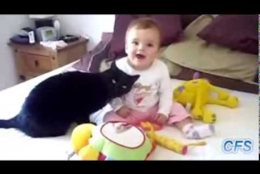 Кошачья забода о малышах! _ Нарезка приколов