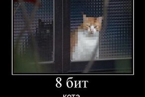 Смешной демотиватор от zubrilov за 08.08.2012 №123629