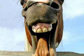 С Новым 2014 Годом! Поехали!