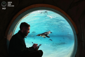 Перепись Лондонского зоопарка 