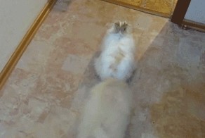 Давай прокачу тебя, что ли...