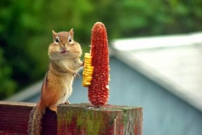 Фото на память )))