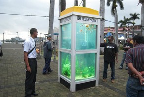 Аквариумы из телефонных будок 