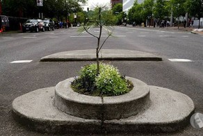 Самый маленький парк в мире