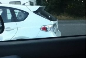 Зачетное фото