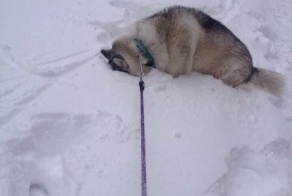 Не хочу домой!