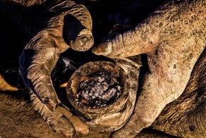 Как выглядит человек, который не мылся 60 лет ...