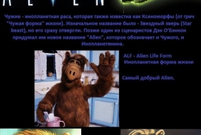 Чужие везде