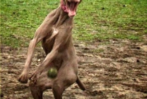 Удачный стоп -кадр.