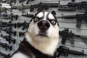 Ну вы поняли о чем я