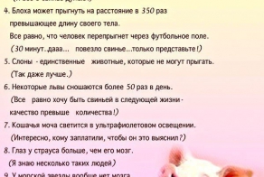 10 интересных фактов из жизни животных