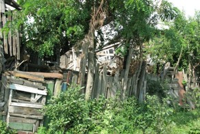 Странный дом