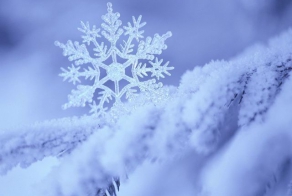 Визуализируем свои ники