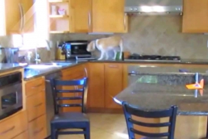 Умная собака