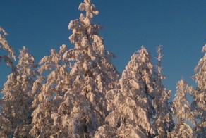 угадай район по фотографии