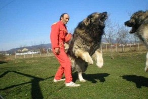 Фото прикол