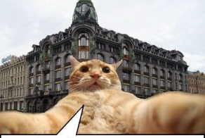 Джонни Кэтсвэлл везде. 