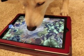 Вкусная водичка