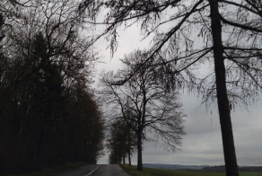 Наша поездка в заброшенный замок Chateau Miranda