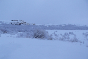 Красоты северной зимы)