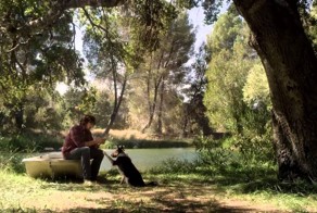 прикольные рекламы защитных чехлов