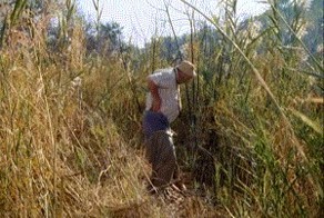 Старый прикол