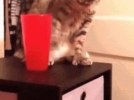 Куда же он упал?