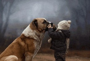 Я буду помнить тебя