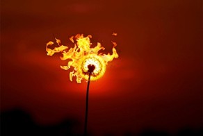 Огненный закат