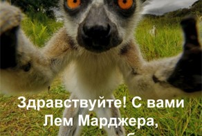  Узбагаиваемся