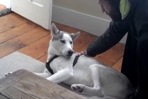 Подборка видео от 15.01.2014