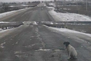 Спасатель