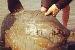 Мигуаша! текст + фото