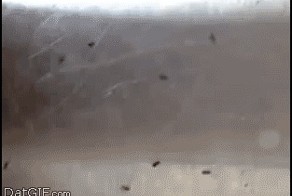 Гифки на все случаи жизни №3