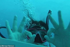 Необычное предложение руки и сердца