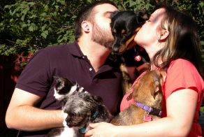 Попытка образумить владельцев собак