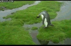 Вот такая вот зима