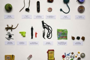 Выставка школьного хулиганства