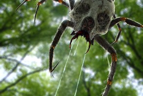 Реалистичный рисунок 