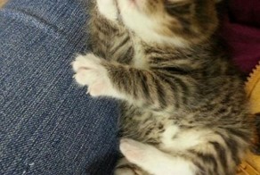 Настало время охренительных историй!