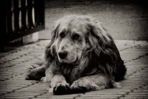 Учите детей добру 