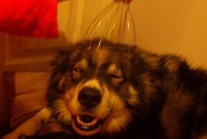 О, да, чувак, еще !!!