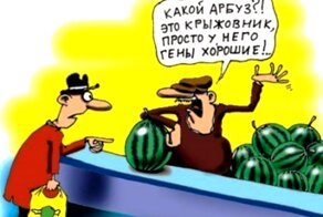 Что мы знаем о ГМО?