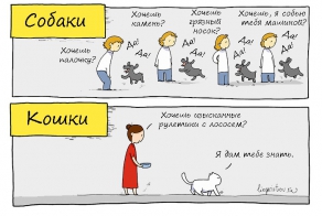 Собаки и кошки