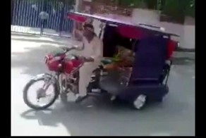 Борьба с зайзами в Индии \ Неудачный Прыжок в пропасть 