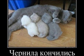 Подборка свежих демотиваторов