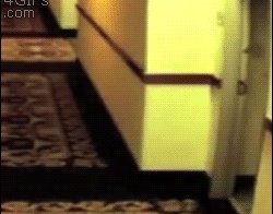 Все пошло как-то не так