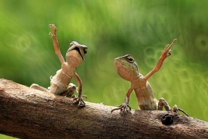 30 самых удачных фотографий января